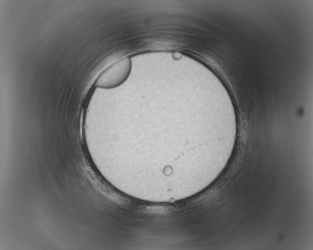 X0000115101227200912081251