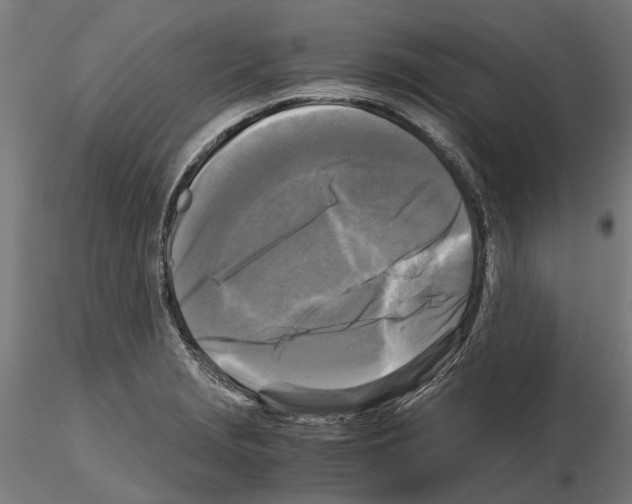 X0000115101229200912081251