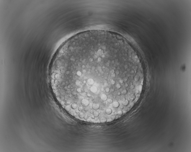 X0000115101230200912081251