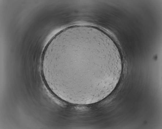 X0000115101231200912081251