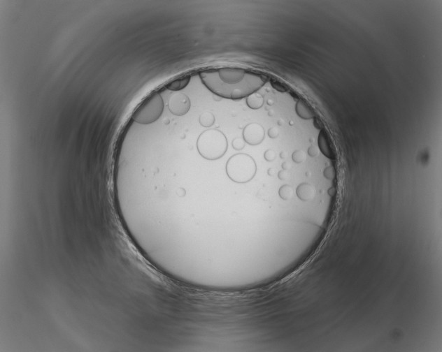 X0000115101232200912081251