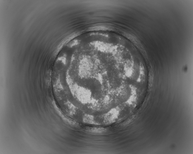 X0000115101233200912081251