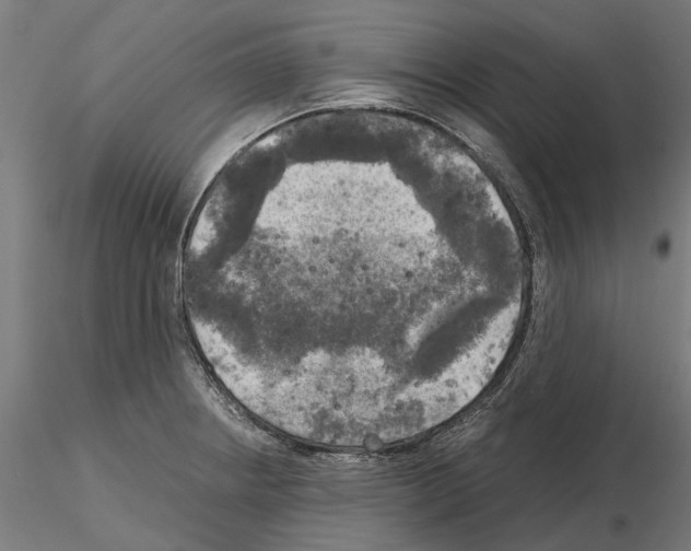 X0000115101234200912081251