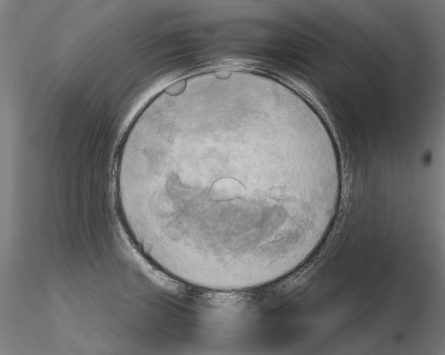 X0000115101235200912081251