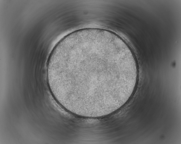 X0000115101238200912081251