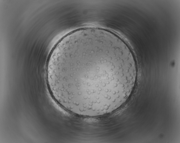 X0000115101239200912081251