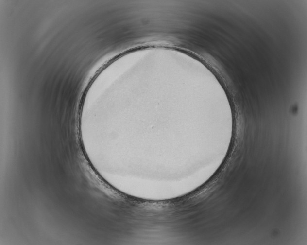 X0000115101240200912081251