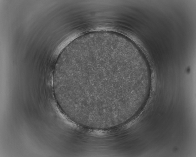 X0000115101241200912081251