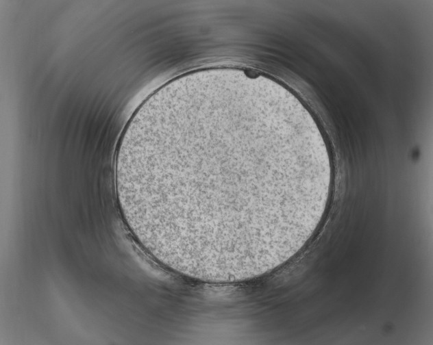 X0000115101242200912081251