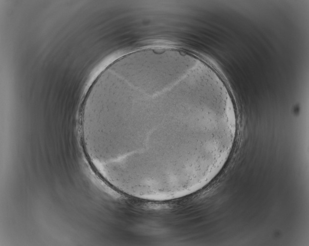 X0000115101243200912081251