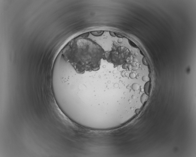 X0000115101244200912081251