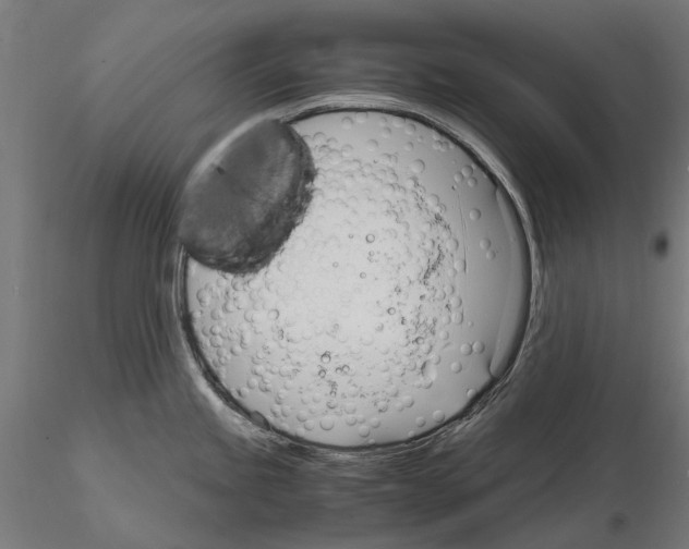 X0000115101245200912081251