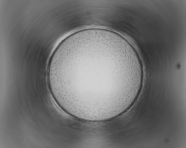 X0000115101246200912081251