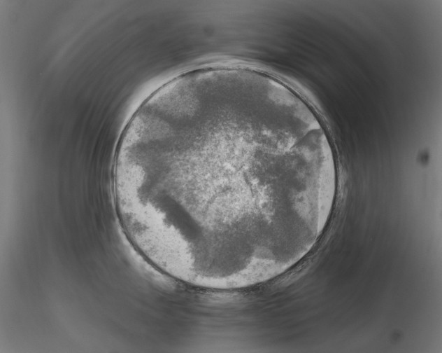 X0000115101247200912081251