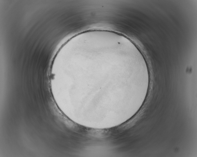 X0000115101248200912081251