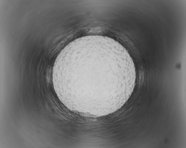 X0000115101250200912081250