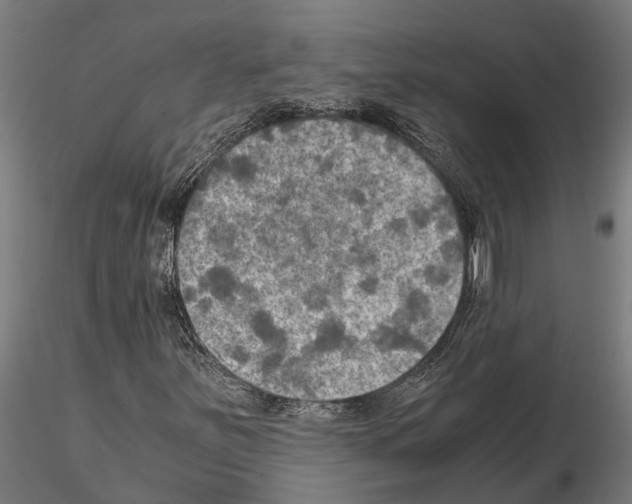 X0000115101251200912081250