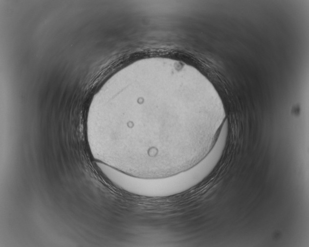 X0000115101252200912081250