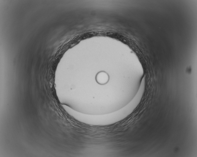 X0000115101253200912081250