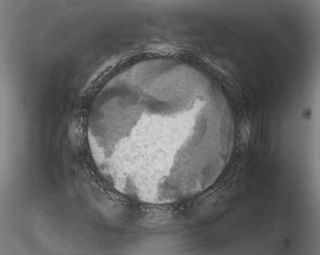 X0000115101254200912081250