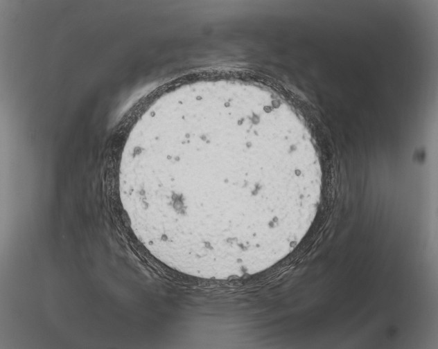 X0000115101255200912081250