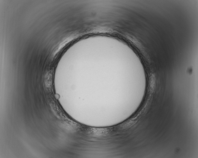 X0000115101258200912081250