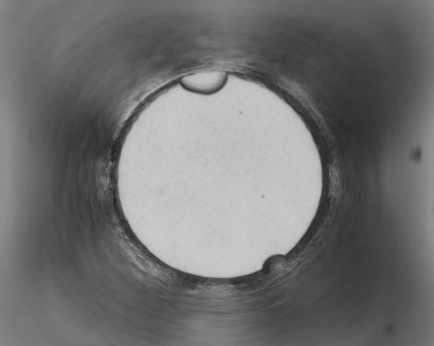 X0000115101260200912081250