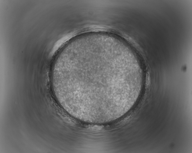 X0000115101261200912081250