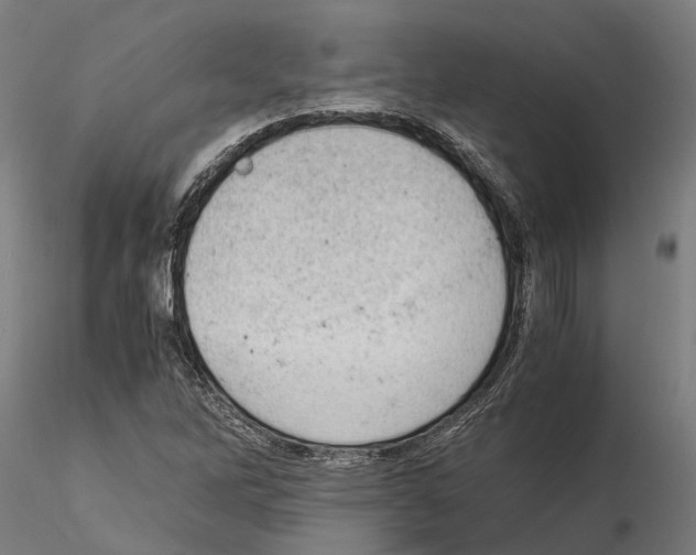 X0000115101262200912081250