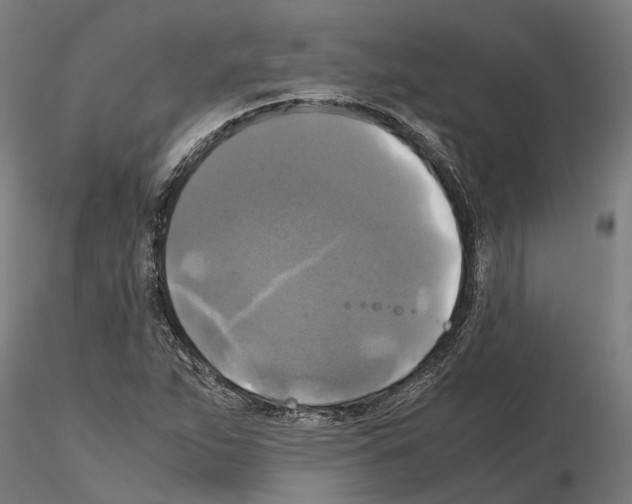 X0000115101263200912081250