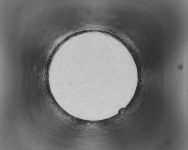 X0000115101264200912081250