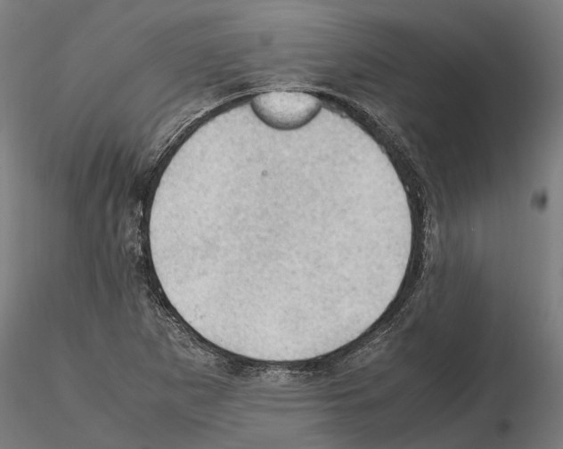 X0000115101265200912081250