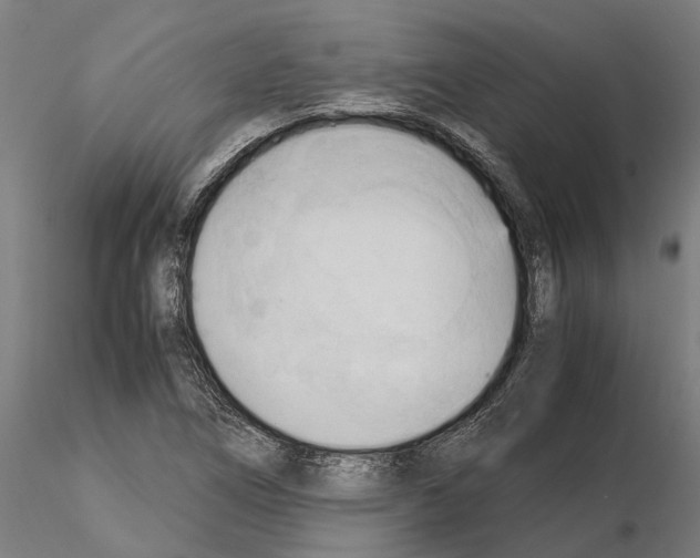 X0000115101266200912081250