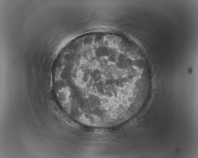 X0000115101267200912081250