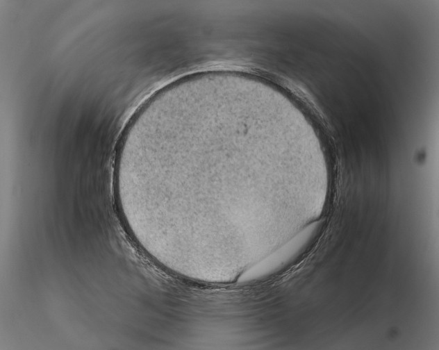 X0000115101268200912081250