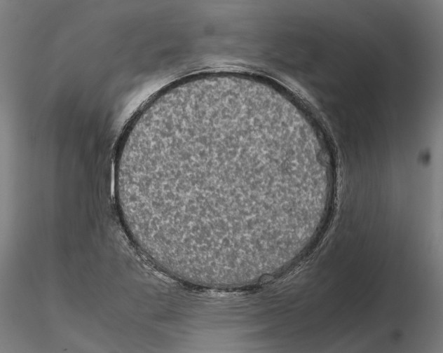 X0000115101269200912081250