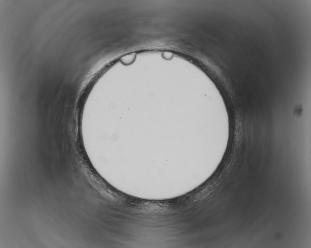 X0000115101270200912081250