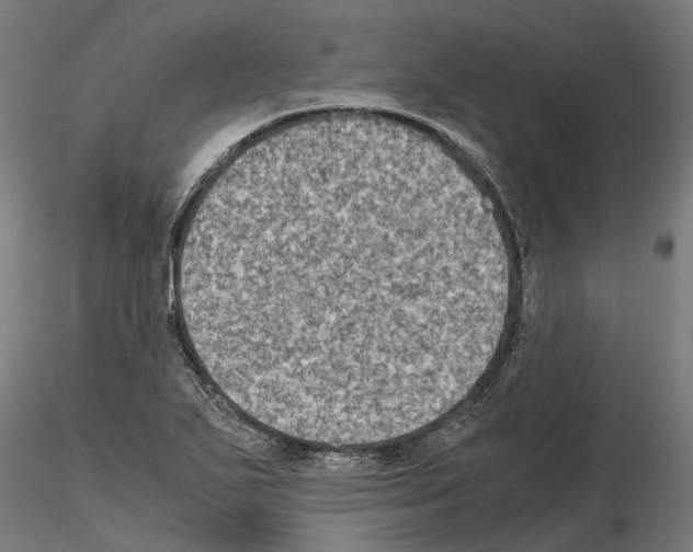 X0000115101271200912081250