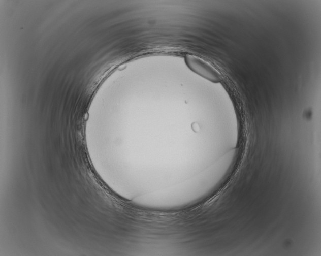 X0000115101273200912081250