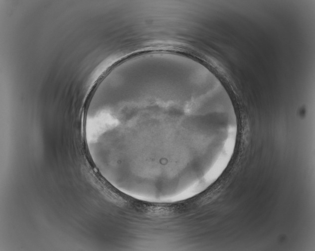 X0000115101275200912081250