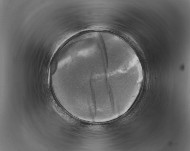 X0000115101276200912081250