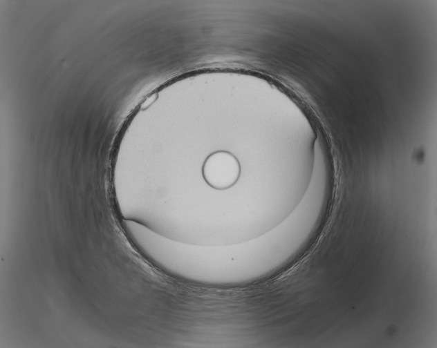 X0000115101277200912081250