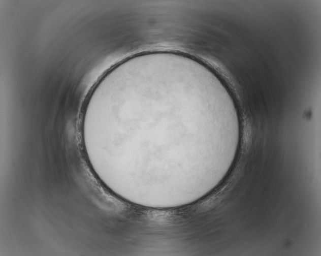 X0000115101278200912081250