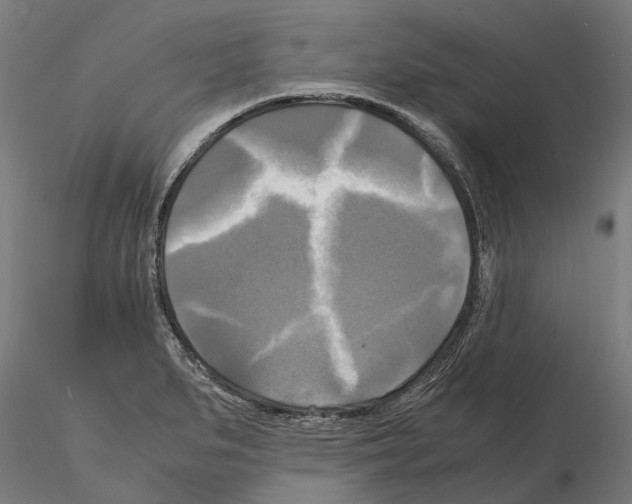 X0000115101279200912081250