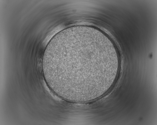 X0000115101281200912081250