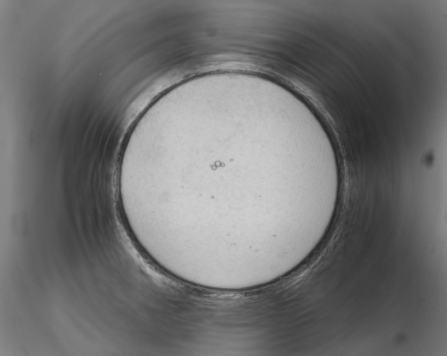 X0000115101282200912081250