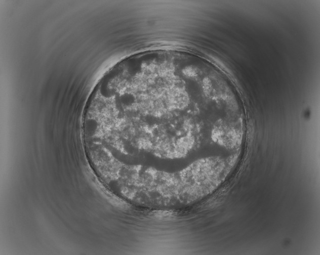 X0000115101283200912081250