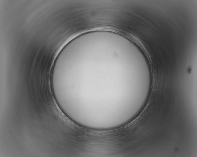 X0000115101284200912081250