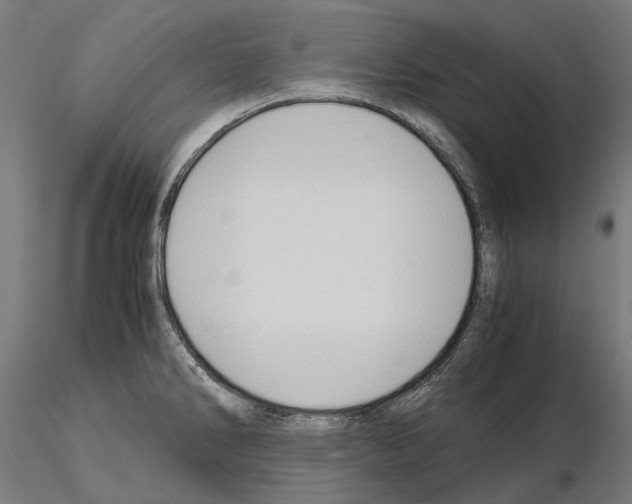 X0000115101286200912081250