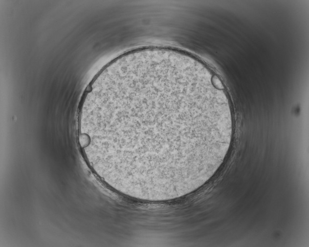 X0000115101287200912081250